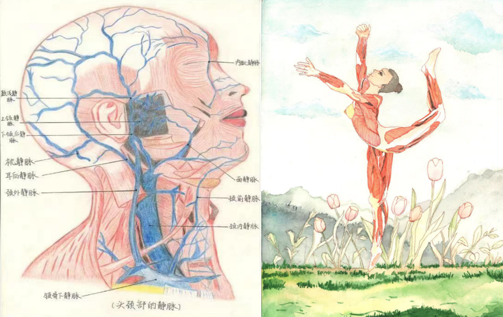 说明: 图片 说明: 图片